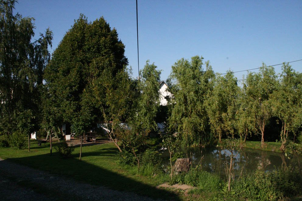 Náves s rybníkem 2010