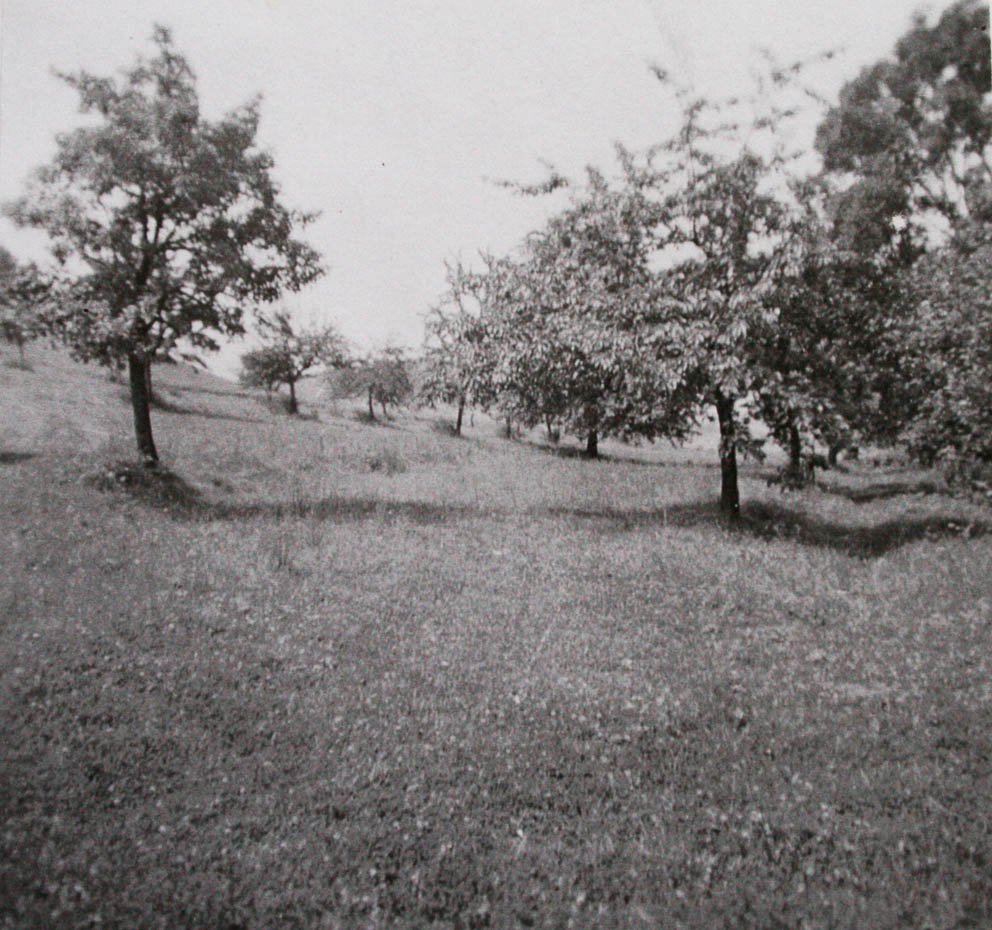 Der Obstgarten (50. Jahren des 20. Jahrhunderts)