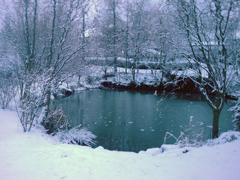 Rybník v zimě 2008