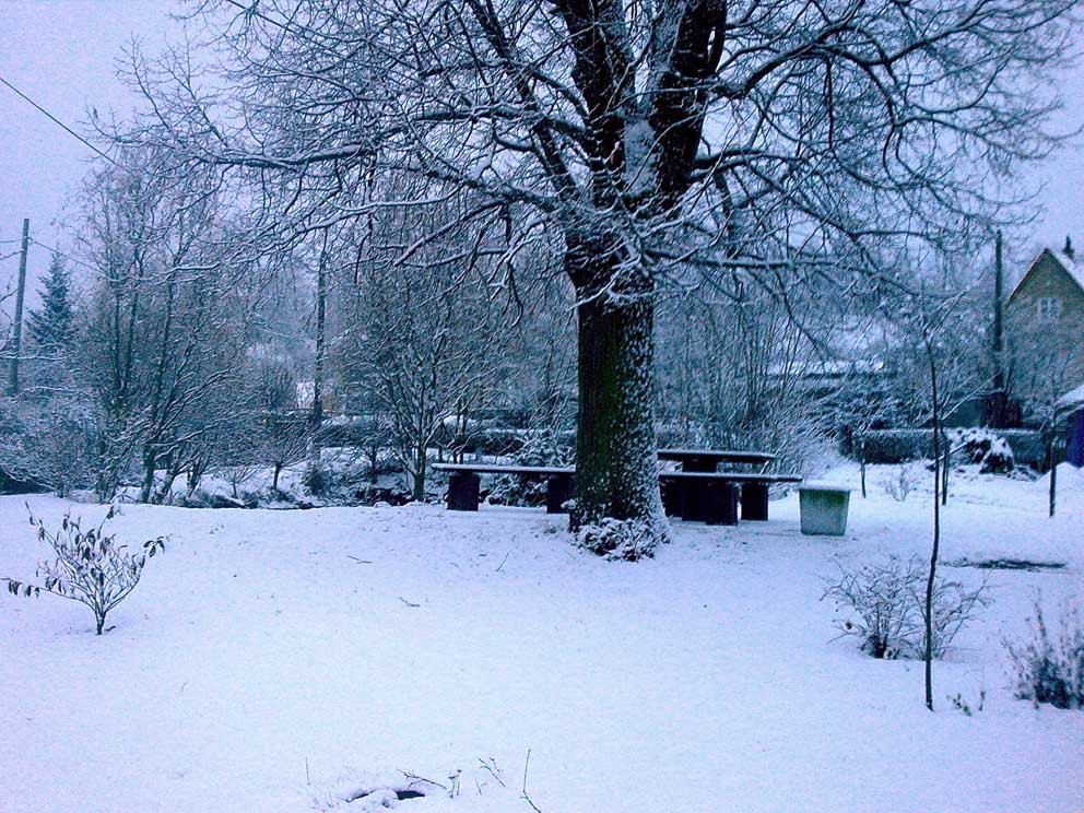 Náves v zimě 2008