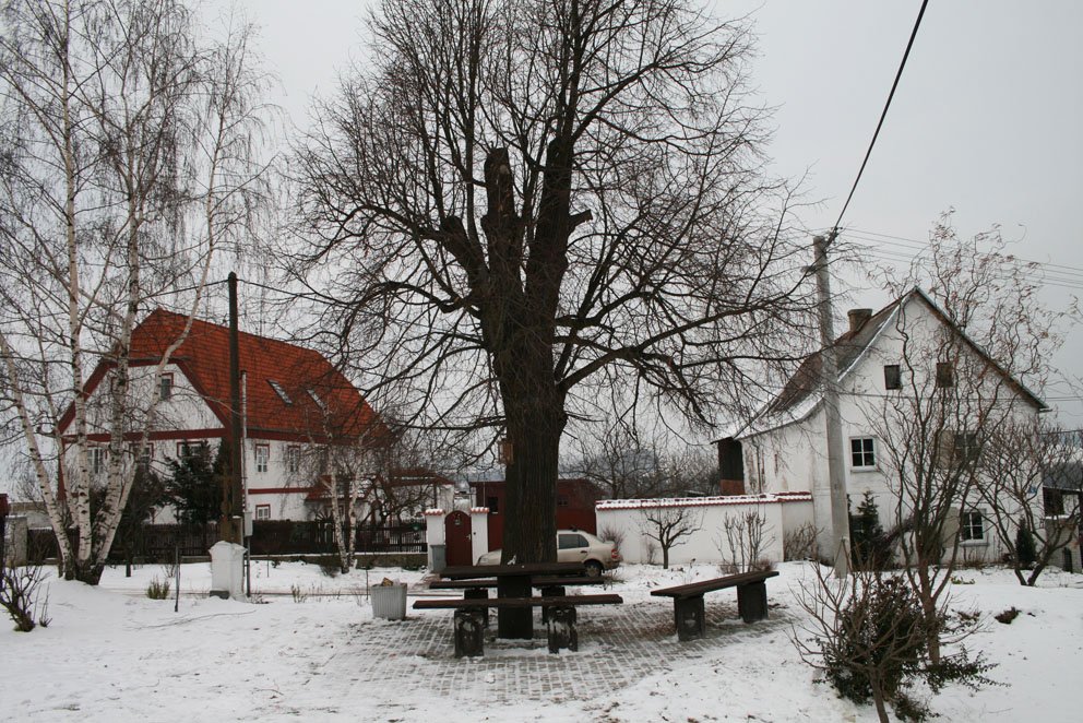 Náves v zimě 2007