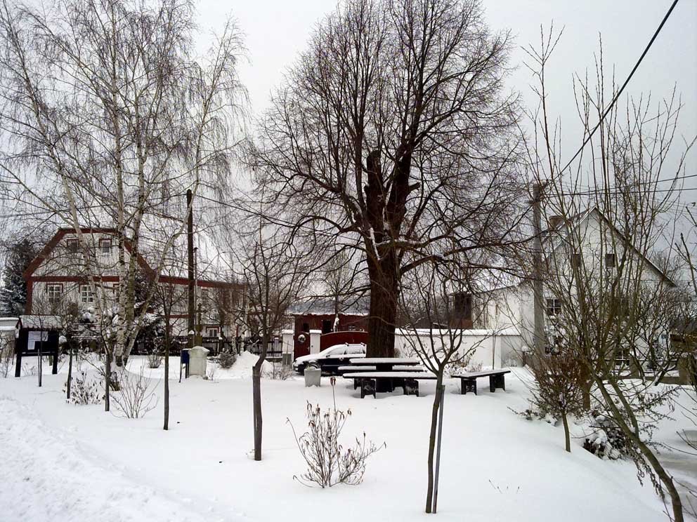 Náves v zimě 2009
