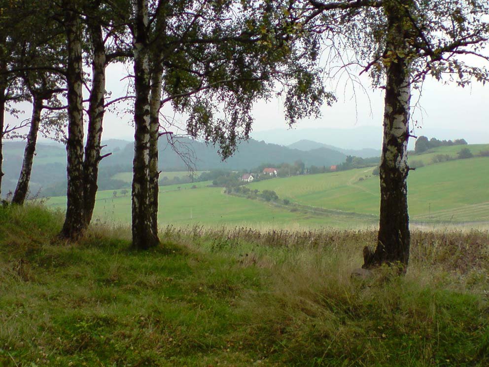 Sovolusky (pohled z kopce nad Radešínem) 2010